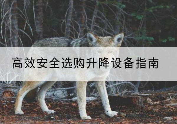 甘孜升降货梯厂家推荐-*安全选购升降设备指南