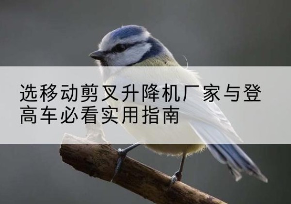 甘孜电动升降机厂家-选移动剪叉升降机厂家与登高车必看实用指南